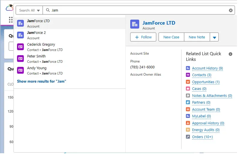 Salesforce global search results showing Accounts and Contacts matching the search term