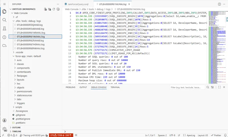Salesforce Web Console debug logs